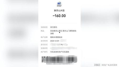 保定自媒体爆料事件视频,真相与争议的交织  第3张